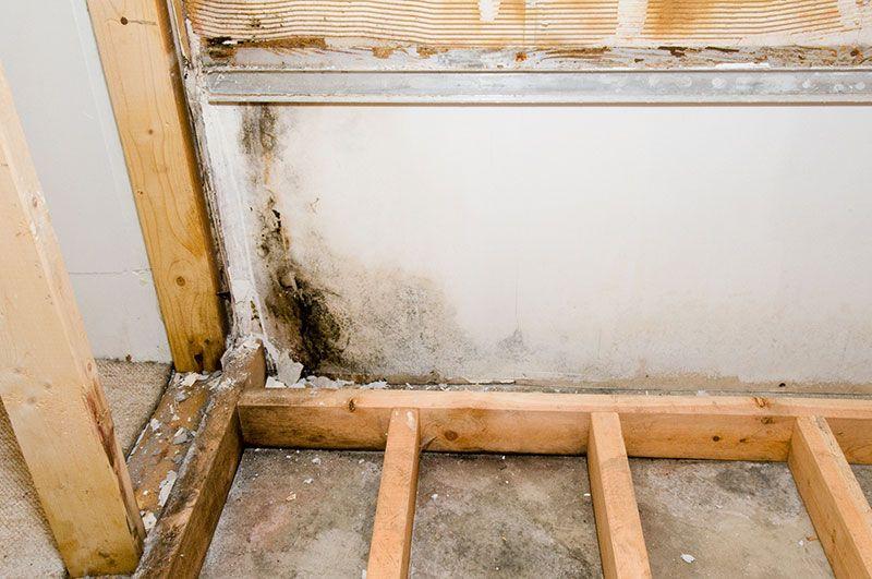 rotting walls in home