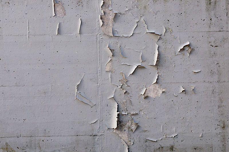 cracking wall plaster